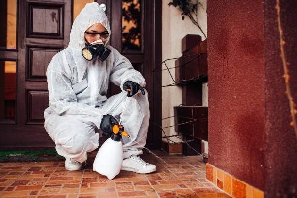 Reliable Wasp Removal contractor in Ham Lake, MN by Show Me Pest Control