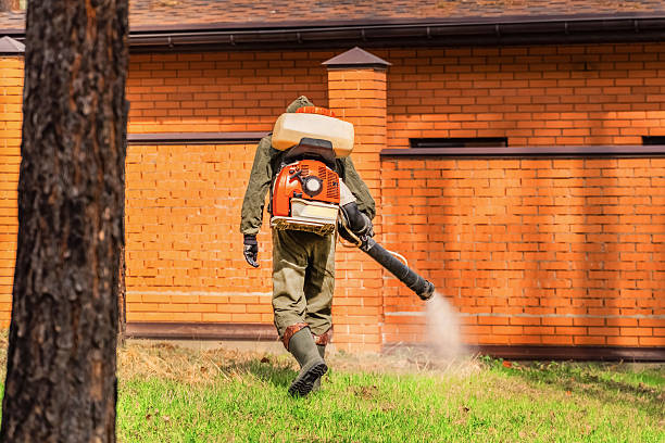 Top rated local Wasp Removal specialists in Ham Lake, MN